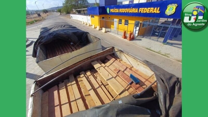 PRF apreende 331 m³ de madeira irregular no Sertão de Pernambuco