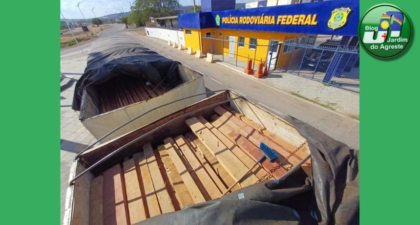 PRF apreende 331 m³ de madeira irregular no Sertão de Pernambuco