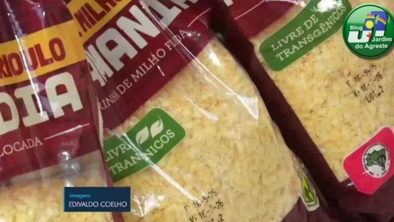 Milho crioulo de Caruaru sustenta tradição rural e garante renda a famílias do Agreste